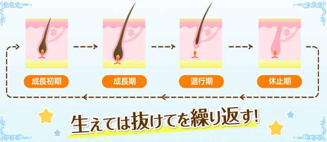 �ю����̐}�����